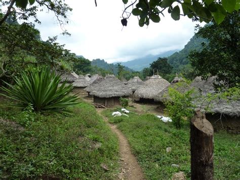 Jungle Village Photo