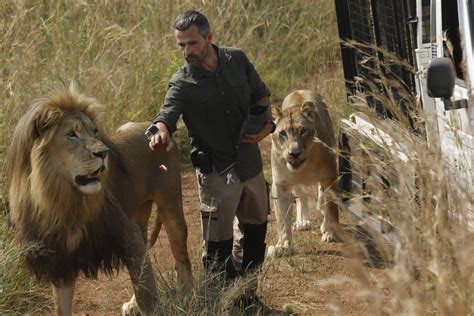 South Africas ‘lion Whisperer Kevin Richardson Was Taking Big Cat For