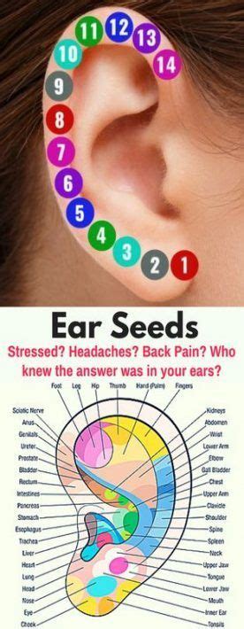 Daith Pain Ear Piercings Chart