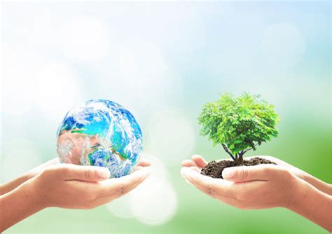 Día De La Tierra 10 Consejos Diarios Para Cuidar De Nuestro Planeta
