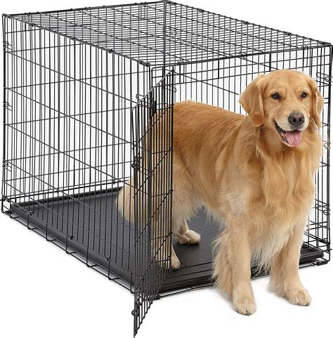 Best Dog Crates For Labradors 2023 Spire Pet
