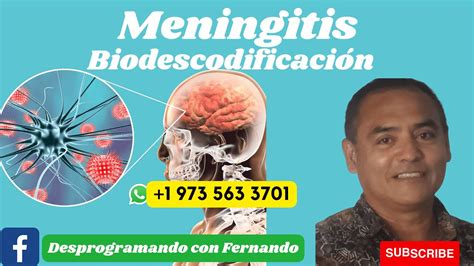 ¿para Qué Sufro De Meningitis Biosdescodificacion Youtube