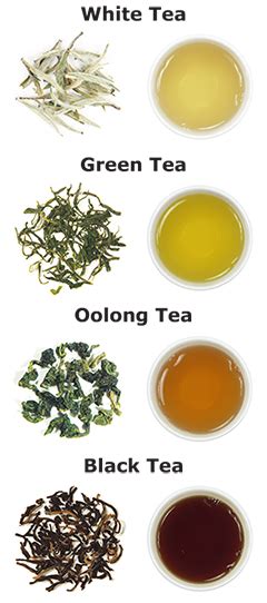 Types Of Tea Octavia Tea