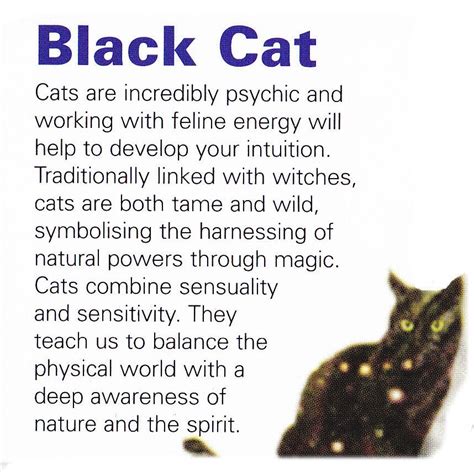 They will warn you of evil. Black cat spirit guide … | Cat spirit, Animal totem spirit ...