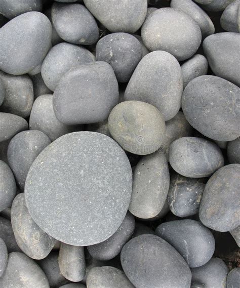 Smooth Gray Pebbles Smooth Gray Stones With One Almost Circular One