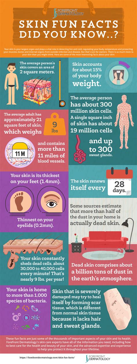 Amazing Fun Facts About Your Skin Infographic Forefront Dermatology