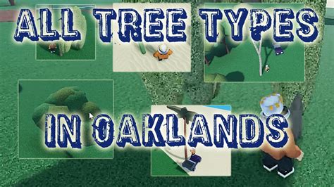 All Tree Types And Their Value Oaklands Roblox Youtube