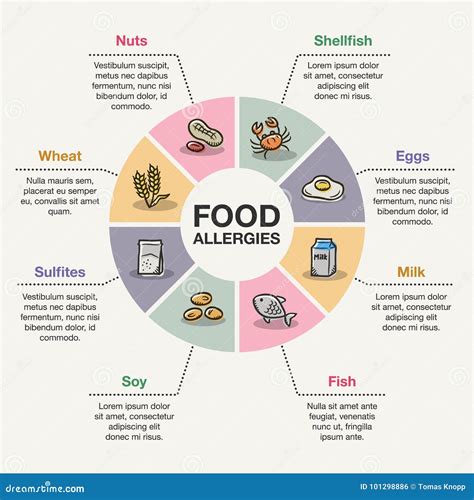 Food Allergies Infographic Stock Illustration Illustration Of Info