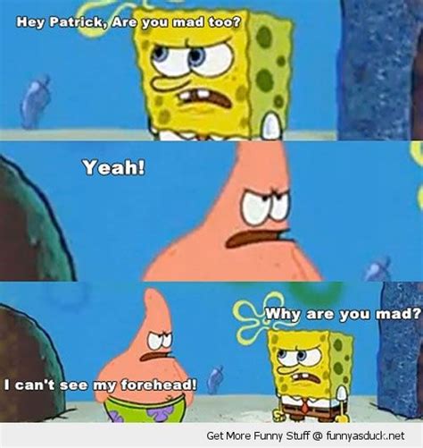 17 Funny Spongebob Memes Wallpapers Factory Memes