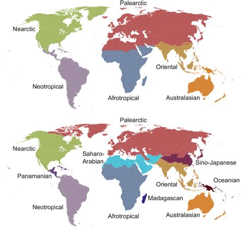 2 Top World Map Showing The Six Major Biogeographic Regions According