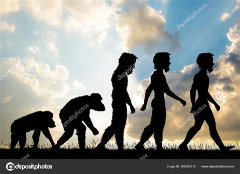 Human Evolution Silhouette Stock Photo By ©adrenalina 169383316