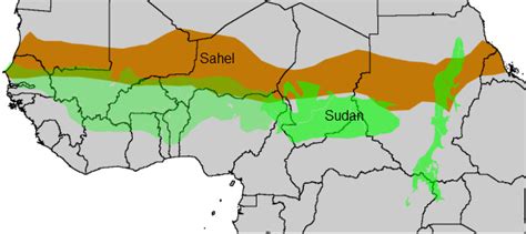Carte du monde, carte de l'afrique, cartes des villes et bien d'autres cartes. Sahel : naissance d'un autre Afghanistan ? - L'Oeil de la MDJ