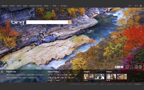 Bing Now Allows Users To Download Backgrounds Back Page