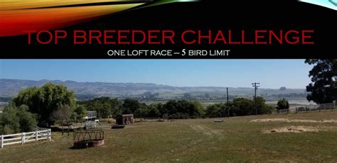 Top Breeder Challenge