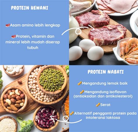 Ini Perbedaan Protein Hewani Dan Nabati Yang Baik Untuk Janin My Xxx