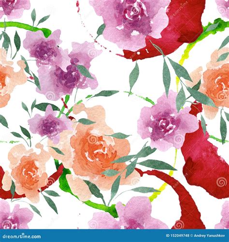 Peony Floral Botanical Flowers Watercolor Background Illustration Set