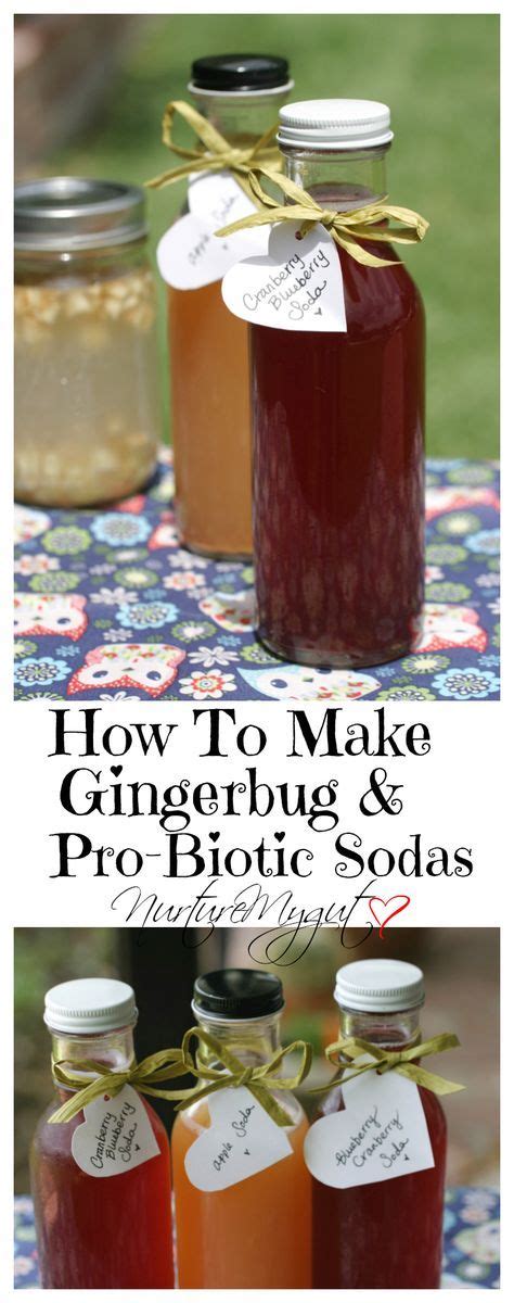 How To Make Gingerbug And Pro Biotic Sodas Make Your Own
