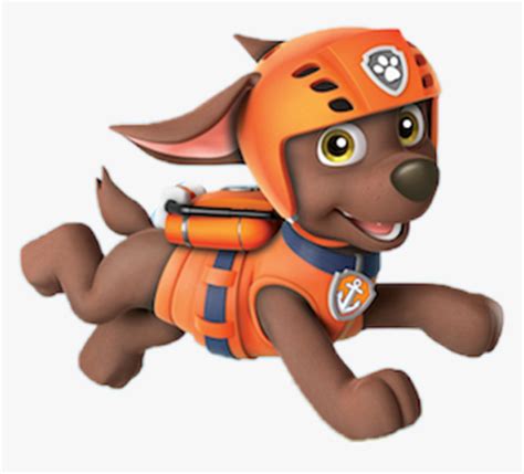 What Kind Of Dog Is Zuma In Paw Patrol