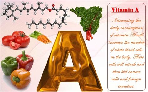 Take some fresh papaya leaves in a bowl and rinse them. 26 Tips On How To Increase White Blood Cell Count Naturally