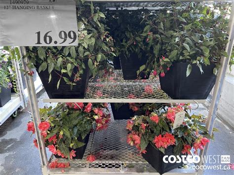 Costco Spring Aisle 2021 Superpost The Entire Plants And Garden