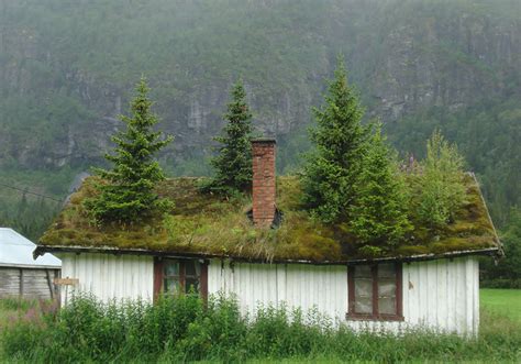 10 Scandinavian Houses With Green Roofs Look Straight Out Of A