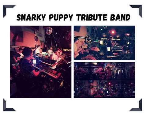 SNARKY PUPPY Tribute Band - dasWerk