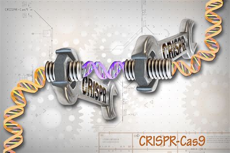 Utilidad del sistema CRISPR Cas de edición del genoma para el desarrollo de tratamientos en