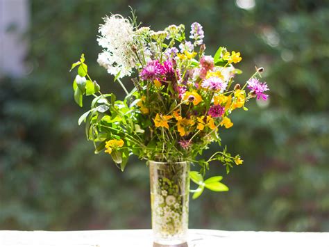 The traps are set in areas where mouse garden problems have been spotted. How to Make a Garden With Native Plants: 9 Steps (with ...