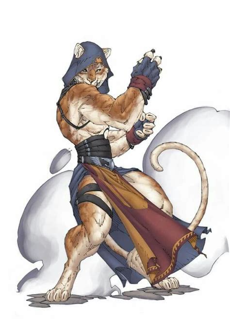 tabaxi monk fantasy character design character art concept art characters