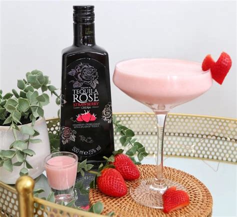 20 Of The Most Amazing Tequila Rose Drink Recipes