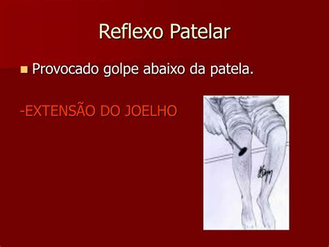 Teste De Reflexo Patelar