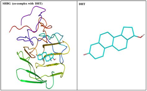 Crystal Structure Of Human Sex Hormone Binding Globulin Shbg In