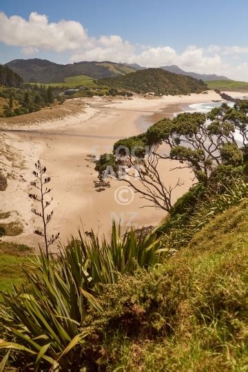 Ocean Beach Near Whangarei Whangarei Heads Northland New Zealand