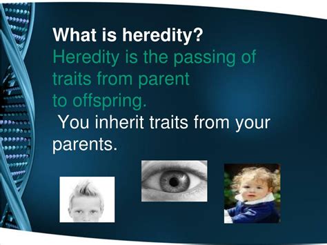 Ppt Heredity Genetics And Dna Powerpoint Presentation Free Download