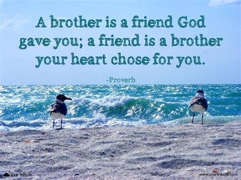 Quote Proverb A Brother Is A Friend God Gave Your