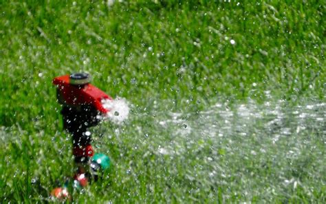Watering Lawns Grass And Turf Correctly In San Antonio Texas