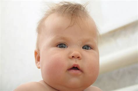 Cute Baby With Chubby Cheeks Looking Stock Photo Image 44471330