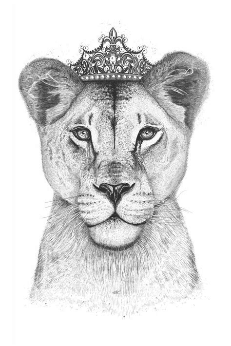The Lioness Queen Poster Artboxone Lioness Tattoo Lion Tattoo