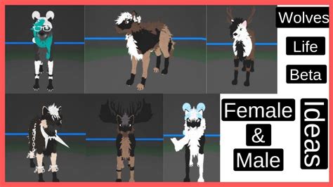 Roblox Wolves Life Beta Regular Female And Male Wolf Ideas Youtube
