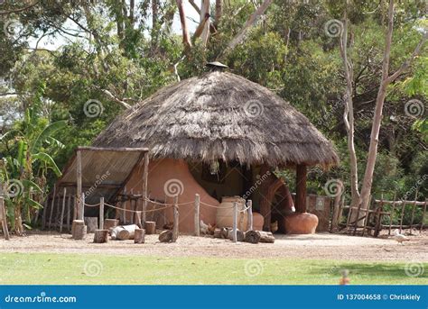 Thatched Roof On Hut Stock Photo Image Of Roof African 137004658