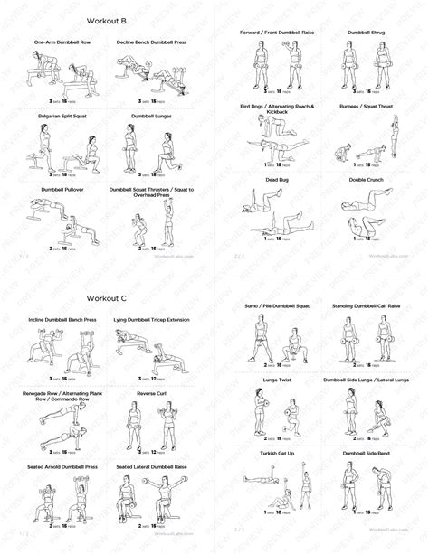 Ultimate Full Body Dumbbell Workout Pack For Men And Women