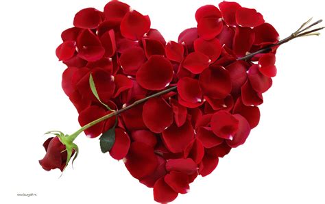 May 13, 2020 · why use png files? Rose Png Love Valentines Day