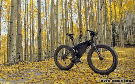 Free Download Wallpaper Wednesday Moonlander With Aspens Fat Bikecom