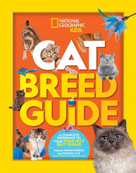 Chat With Vera For Cat Lovers National Geographic Kids Cat Science