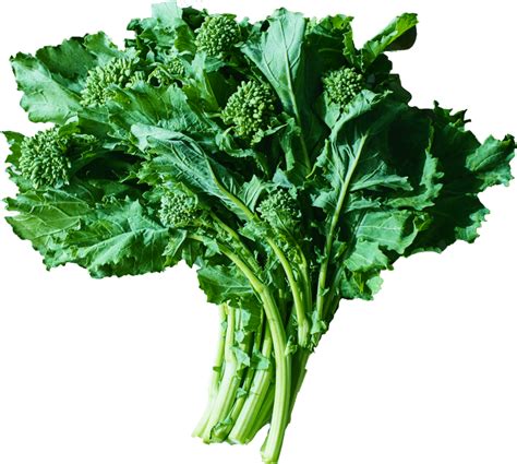 Broccoli Rabe Half Your Plate
