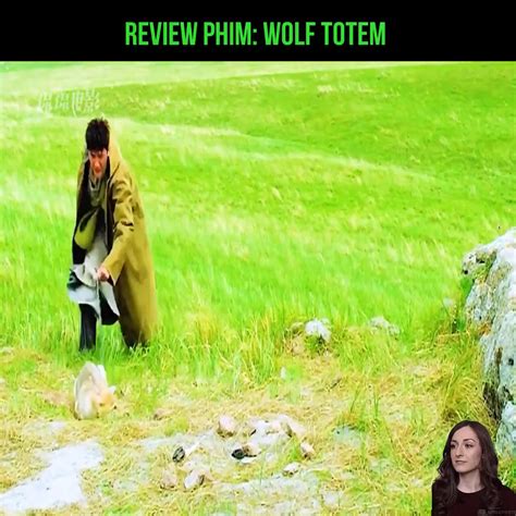 Review Phim Wolf Totem Review Phim Wolf Totem By La Cuadra Guesthouse Vieques Pr