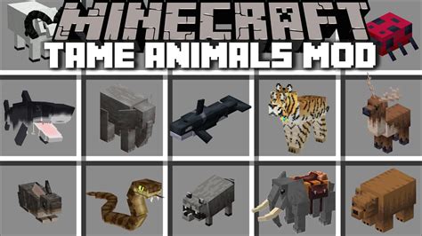Minecraft Tame And Breed Better Animals Mod Spawn In Village More