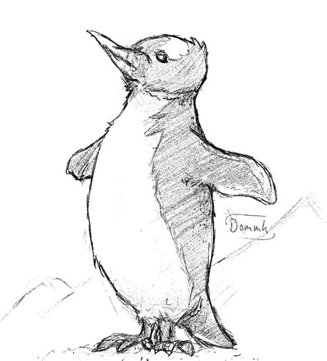 Penguin Sketch I Drew Yesterday Rsketches