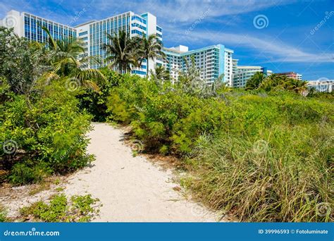 Miami Beach Stock Image Image Of Scenic Lifestyle Destination 39996593