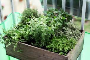 Grow A Balcony Herb Garden In The City In The Garden
